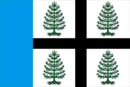 Drapeau de Soudislavl