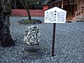 Antarctic rock recovered by Fuji on Mount Fuji.