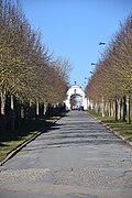 L'avenue de la portelette.