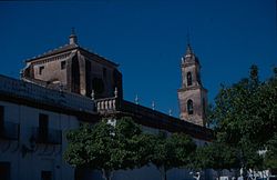 Skyline of Olivares