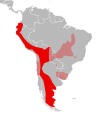 Aire de répartition du Chat des Pampas (Leopardus pajeros) dans le modèle à trois espèces.