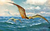 Reconstitution d'artiste de Pteranodon par Heinrich Harder.