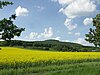 Blick nordwestwärts zum Dietrichsberg mit Wölferbütt (rechts)