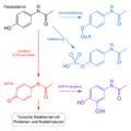 Metabolisierung von Paracetamol