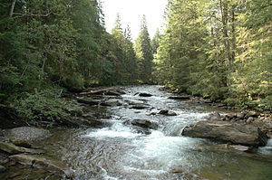 Prut near Mt. Hoverla, in Ukraine