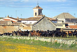 Santa Ana de Pusa - Sœmeanza