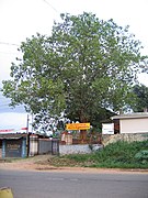 Sree malsyavathara mahavishnu temple