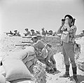 Image 103British infantry near El Alamein, 17 July 1942 (from Egypt)