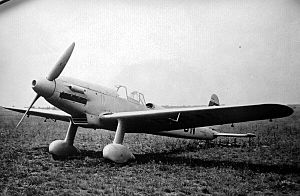 Arado Ar 80 V3 (D-IPBN)