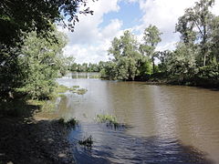 Confluenza del Beuvron (primo piano) e della Loira a Candé-sur-Beuvron.