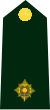 Second Lieutenant/ Sous-lieutenant