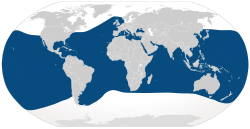Distribución de T. truncatus (en azul)