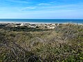 Vue des dunes et de la Manche.