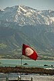 The flag of the Historic Places Trust flying outside Fyffe House in Kaikōura