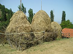 Стогови сено во Блатец, Виничко