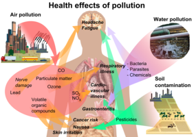Overview of main health effects on humans from some common types of pollution.