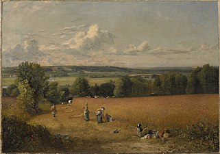 Le champ de blé, 1816, huile sur toile, 54,6 × 78,1 cm, Clark Art Institute.