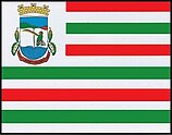 Flags of the city of Liberato Salzano, Rio Grande do Sul, Brazil.