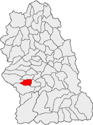 Location in Hunedoara County