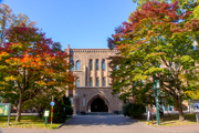 北海道大学総合博物館（2016年10月）