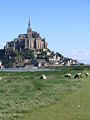 Monte Saint-Michel: Oveja pace en la tierra pré-salé o "prado".