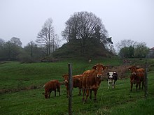 Une motte castrale au village du Mazaubrun, à proximité de Châlus