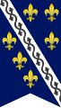 Bosna Krallığı bayrağı