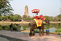 Elephant et Wat Phra Ram