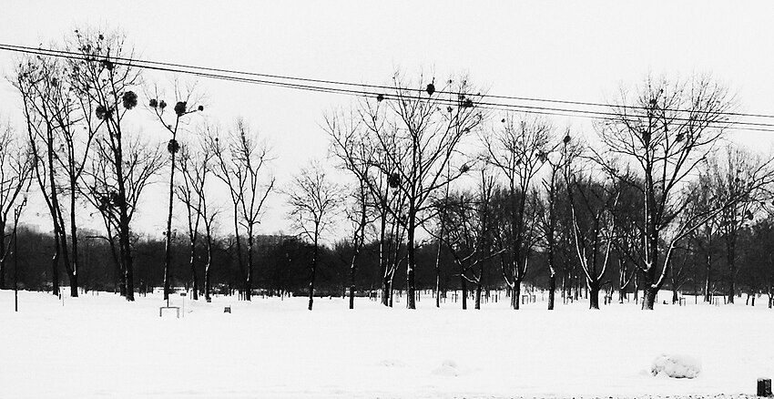 Park Jana Pawła II zimą