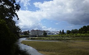 Zona húmeda con la ciudad al fondo