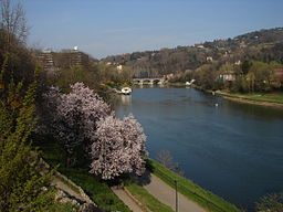 Pofloden vid Turin