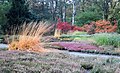 Rhododendronpark Bremen