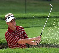 David Toms (2008)