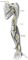 Nervus axillaris pone musculum teretem minorem est.