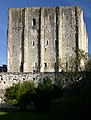 Donjon de Loches