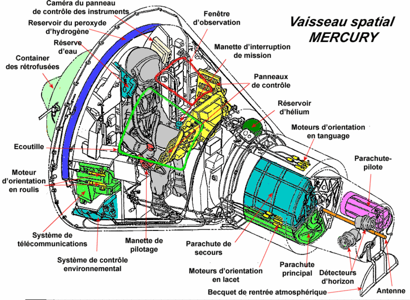 Une vue en coupe de la capsule Mercury.