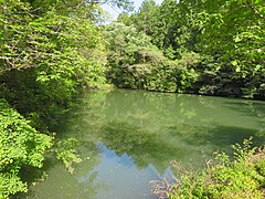 Nishiboraike (West Cave Pond) at Ōagata Shrine