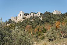 20101105 131126 Château Allègre 001 DxO.jpg