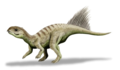 Chaoyangsaurus, um dinossauro.