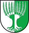 Wappen von Zechin