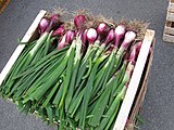 Cardboard boxes for bulk produce