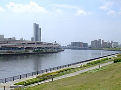 Ang Ilog Sumida mula sa tuloay ng Suijin sa Arakawa