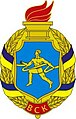 Нагрудний знак «Воїн-спортсмен»