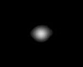 Zdjęcie Adrastei wykonane za pomocą sondy Galileo.