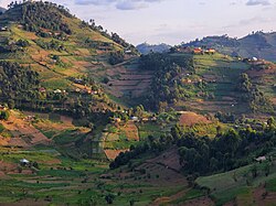 Hills in Kisoro