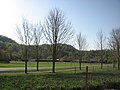 Cullowhee Valley K-8 School, located along NC 107