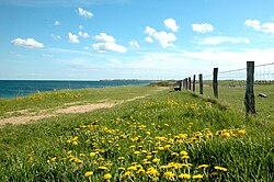 Nordaustsida av Fehmarn