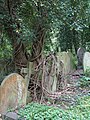 Veduta del cimitero