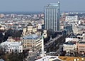 View from St. Peter's Church