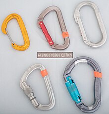 Various types of carabiners